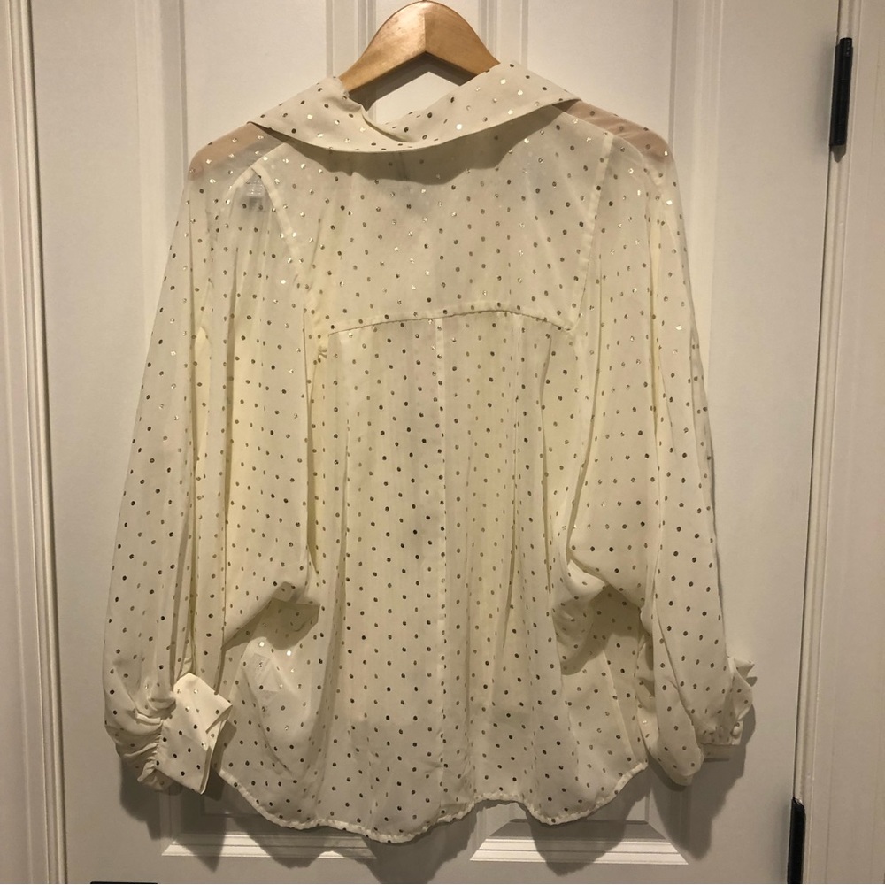 Zara Sheer Polka Dot Blouse - Picture 8 of 9